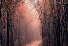 手机股票怎么玩:和股票行情-寒武纪最新动作曝光！